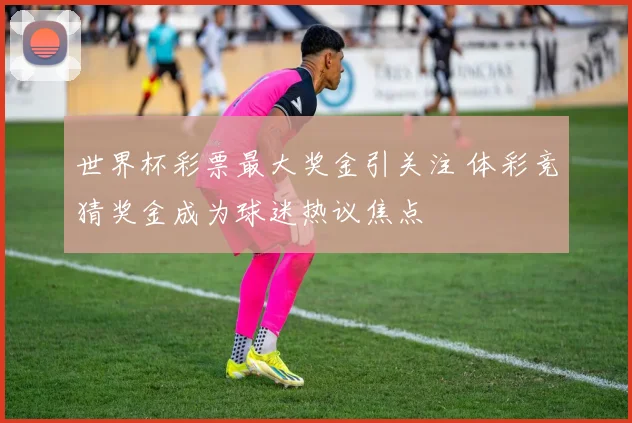 世界杯彩票最大奖金引关注 体彩竞猜奖金成为球迷热议焦点