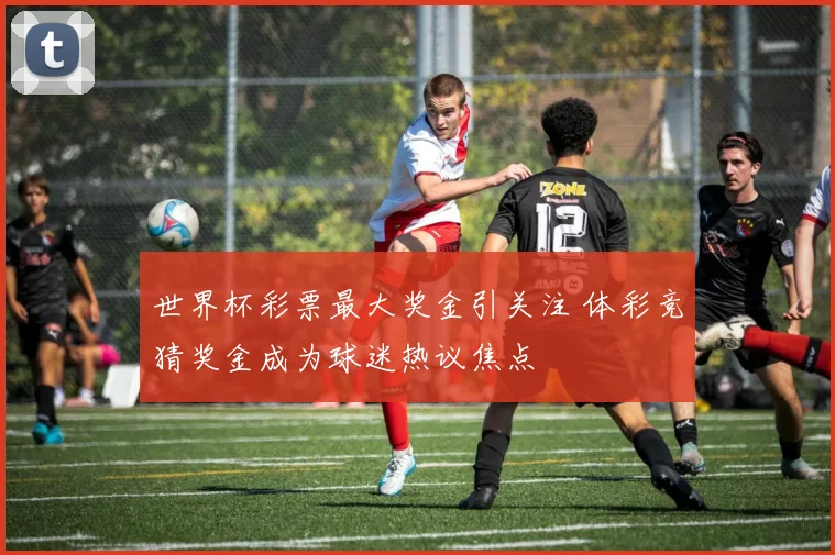 世界杯彩票最大奖金引关注 体彩竞猜奖金成为球迷热议焦点