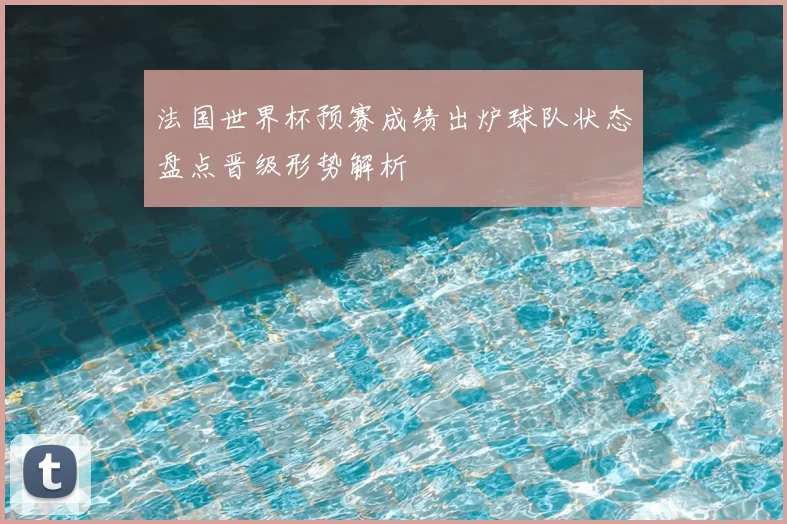 法国世界杯预赛成绩出炉球队状态盘点晋级形势解析