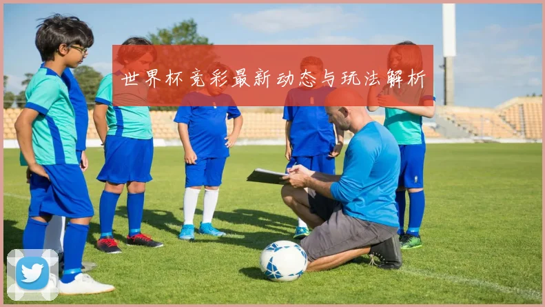 世界杯竞彩最新动态与玩法解析